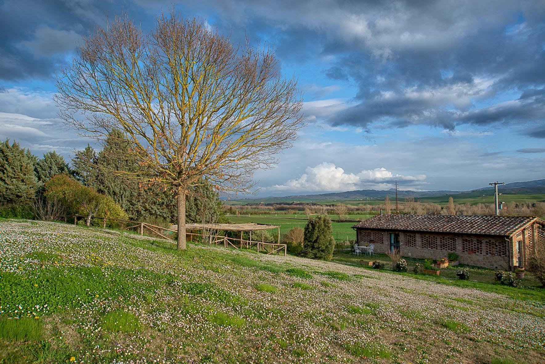 Agriturismo Le Sorbelle D'Orcia Con Piscina Pienza Eksteriør billede